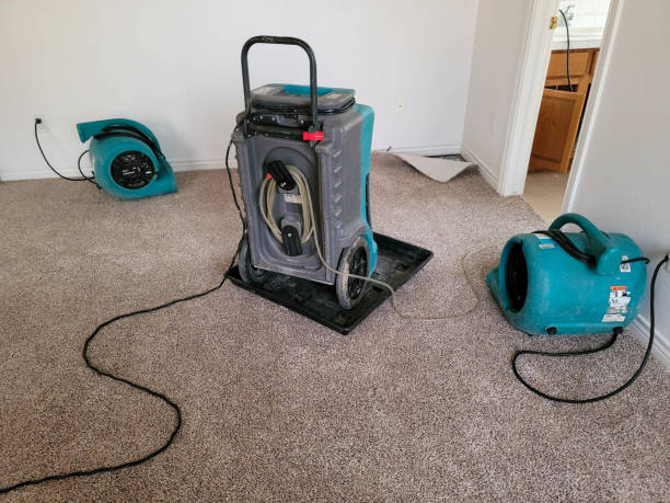Best Carpet water damage restoration  in Nicholson, GA