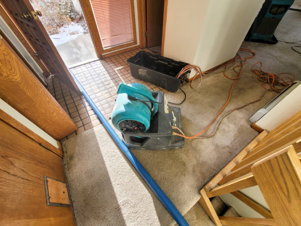 Carpet water damage restoration in Nicholson, GA