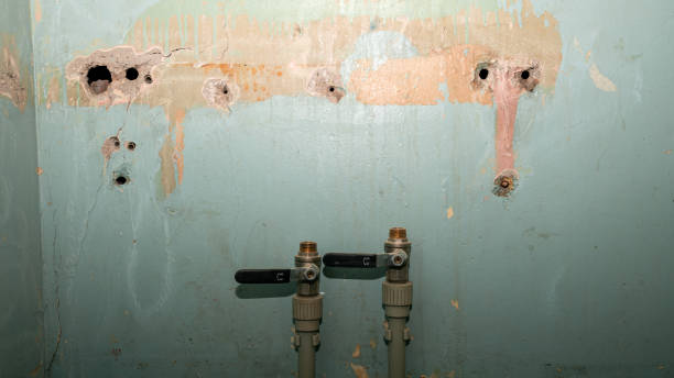 Water damage restoration insurance claims in Nicholson, GA