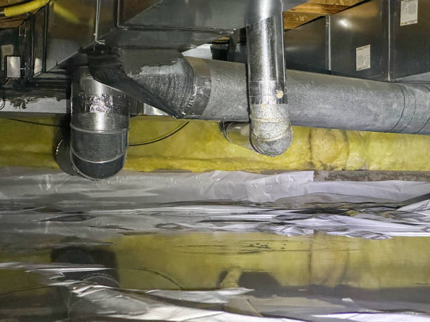 Reliable Nicholson, GA Water damage restoration Solutions