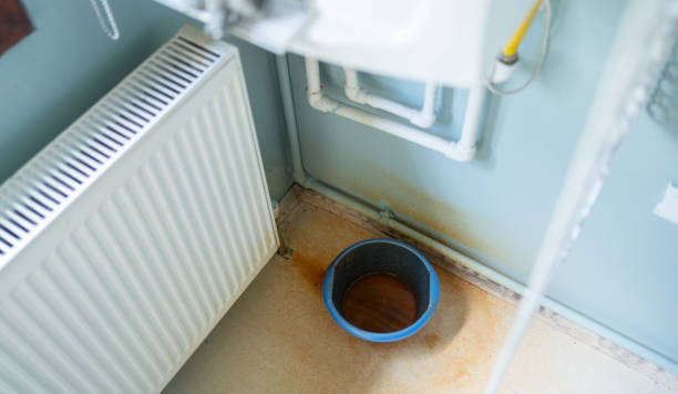 Best Sewage cleanup and water damage restoration  in Nicholson, GA