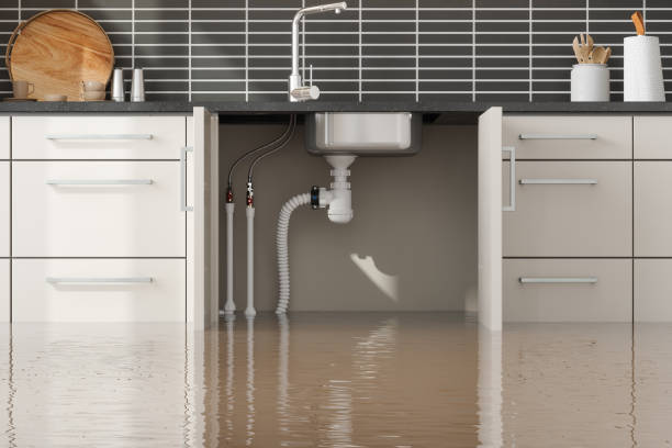 Best Emergency water damage restoration  in Nicholson, GA