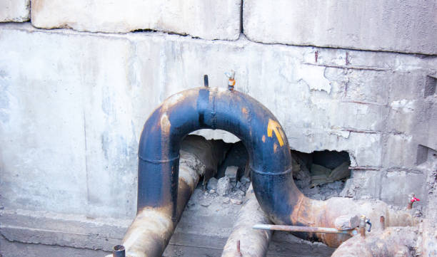 Best Basement water damage restoration  in Nicholson, GA