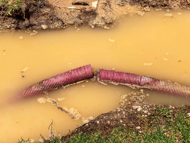 Best Commercial water damage restoration  in Nicholson, GA