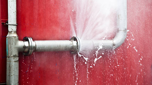  Nicholson, GA Water damage restoration Pros